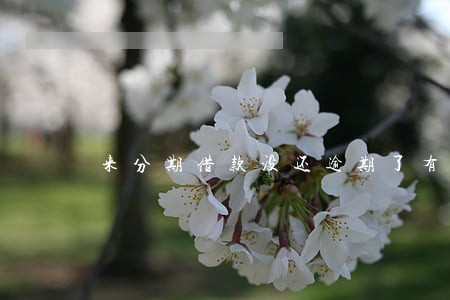 来分期借款没还逾期了有利息吗 来分期借款没还逾期了有利息吗