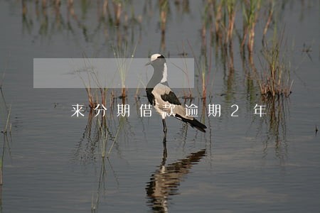 来分期借款逾期2年 来分期借款逾期2年