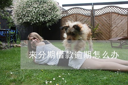 来分期借款逾期怎么办