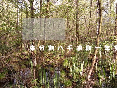 来分期八千逾期一年多了 来分期八千逾期一年多了