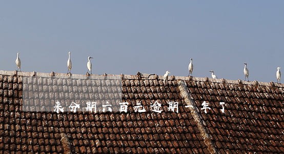来分期六百元逾期一年了 来分期六百元逾期一年了