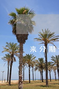 来分期分期后逾期会被取消分期吗 来分期分期后逾期会被取消分期吗