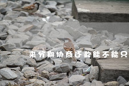 来分期协商还款能不能只还本金 来分期协商还款能不能只还本金