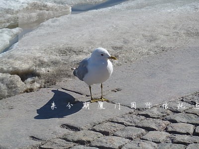 来分期厦门国际信托逾期打电话吗 来分期厦门国际信托逾期打电话吗