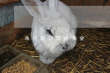 来分期只偿还本金 来分期只偿还本金