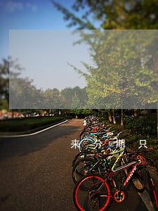 来分期只还本金怎么处理 来分期只还本金怎么处理