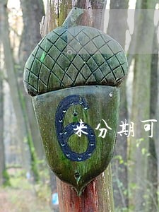 来分期可以协商只还本金 来分期可以协商只还本金