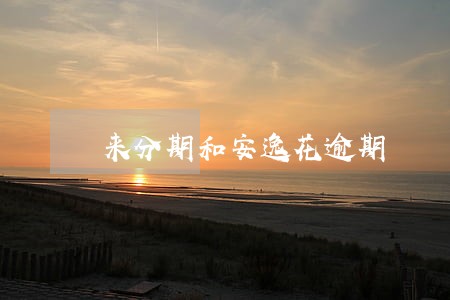 来分期和安逸花逾期