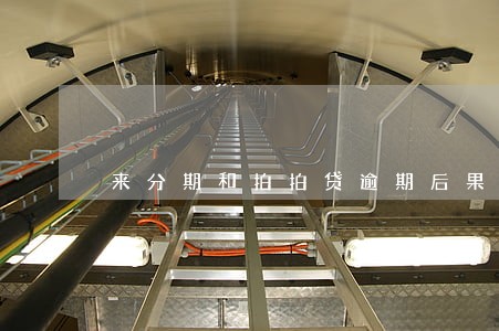 来分期和拍拍贷逾期后果