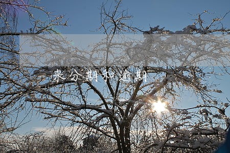 来分期和逾期