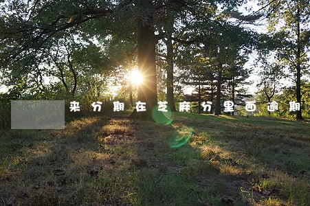 来分期在芝麻分里面逾期怎么弄掉