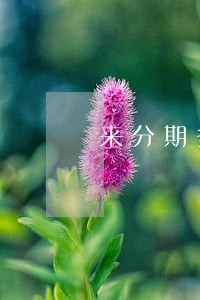 来分期多笔账单逾期 来分期多笔账单逾期