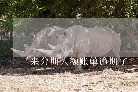 来分期大额账单逾期了 来分期大额账单逾期了