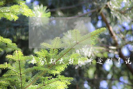 来分期大额账单逾期了说报备 来分期大额账单逾期了说报备