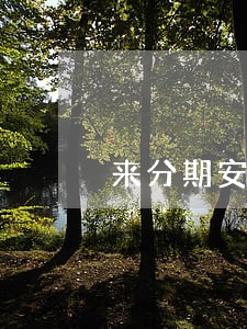 来分期安逸花逾期会上征信吗 来分期安逸花逾期会上征信吗