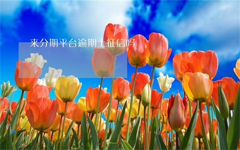 来分期平台逾期上征信吗