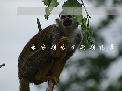 来分期您有逾期记录 来分期您有逾期记录