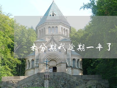 来分期我逾期一年了 来分期我逾期一年了