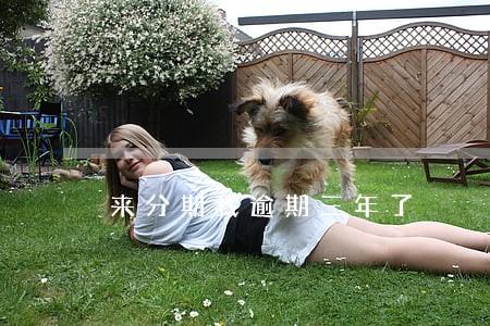 来分期我逾期三年了 来分期我逾期三年了