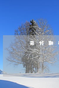 来分期手机分期逾期一年半了 来分期手机分期逾期一年半了