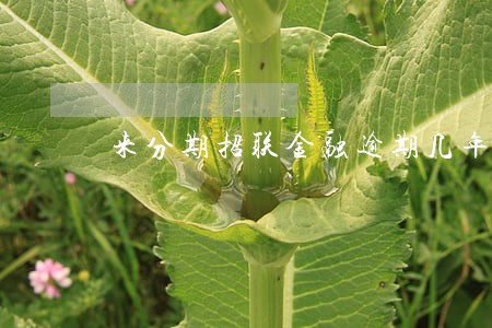 来分期招联金融逾期几年 来分期招联金融逾期几年