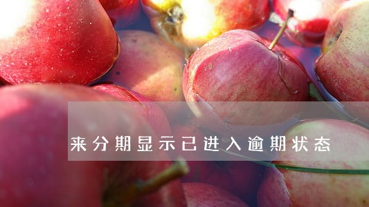 来分期显示已进入逾期状态