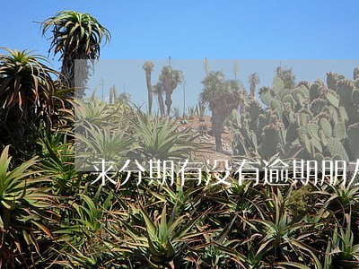 来分期有没有逾期朋友 来分期有没有逾期朋友