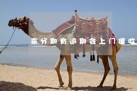 来分期有逾期会上门催收吗 来分期有逾期会上门催收吗