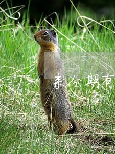来分期有额度没有逾期 来分期有额度没有逾期