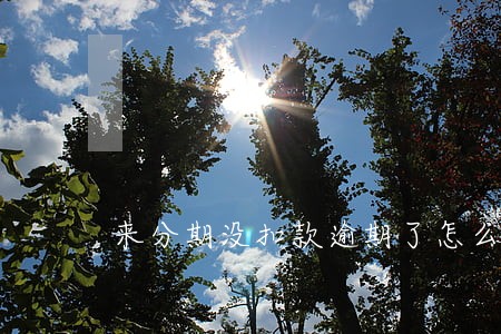 来分期没扣款逾期了怎么办 来分期没扣款逾期了怎么办