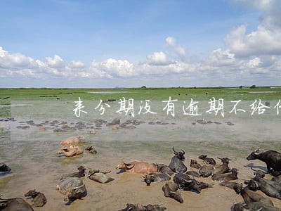 来分期没有逾期不给借款了 来分期没有逾期不给借款了