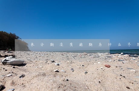 来分期没有逾期为什么不能借款