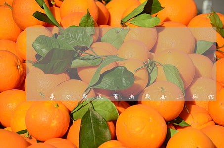 来分期没有逾期会上征信 来分期没有逾期会上征信