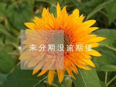 来分期没逾期催 来分期没逾期催