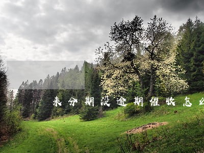 来分期没逾期催收怎么解决