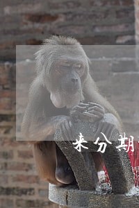 来分期没逾期怎么办 来分期没逾期怎么办