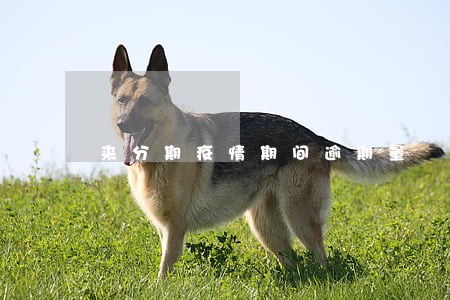 来分期疫情期间逾期量 来分期疫情期间逾期量