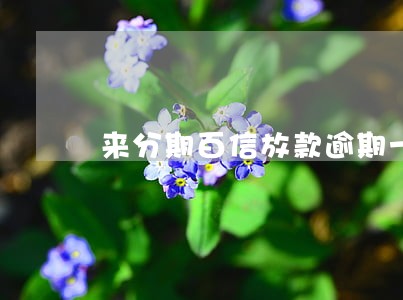 来分期百信放款逾期一个月 来分期百信放款逾期一个月