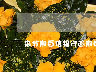 来分期百信银行逾期四个月 来分期百信银行逾期四个月