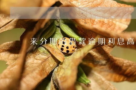 来分期的借款逾期利息高吗 来分期的借款逾期利息高吗