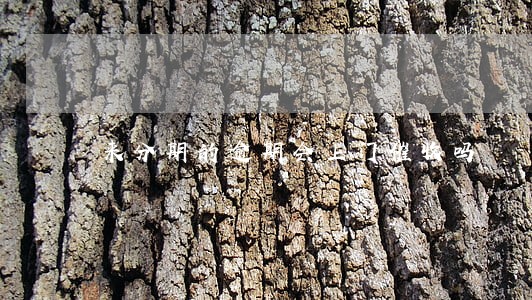 来分期的逾期会上门催收吗 来分期的逾期会上门催收吗
