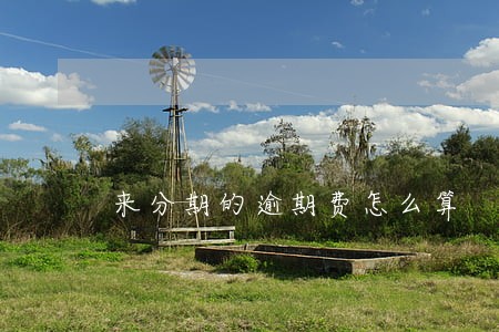 来分期的逾期费怎么算 来分期的逾期费怎么算