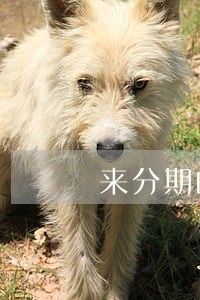 来分期的逾期费是多少 来分期的逾期费是多少