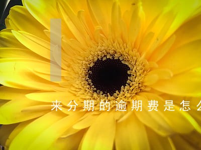 来分期的逾期费是怎么算的 来分期的逾期费是怎么算的