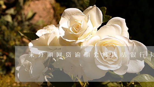 来分期网贷逾期会被冻结银行卡吗 来分期网贷逾期会被冻结银行卡吗