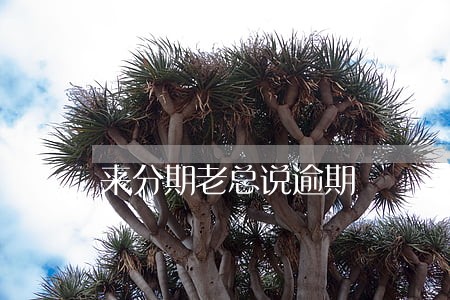 来分期老总说逾期 来分期老总说逾期