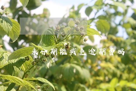 来分期能减免逾期费吗 来分期能减免逾期费吗