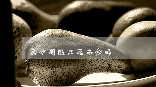 来分期能只还本金吗 来分期能只还本金吗