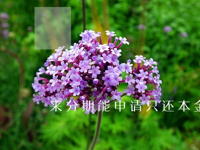 来分期能申请只还本金吗 来分期能申请只还本金吗