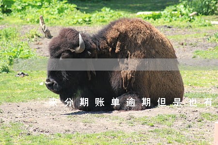 来分期账单逾期但是也有慢慢还 来分期账单逾期但是也有慢慢还
